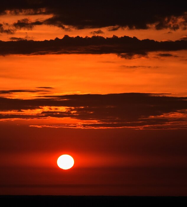 Papier peint  Lever de soleil d'été
