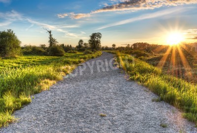 Papier peint  Lever de soleil et chemin de terre