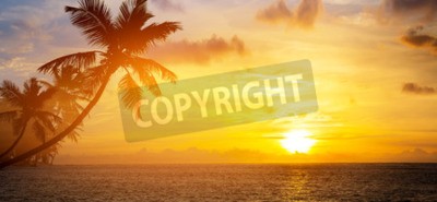 Papier peint  Lever de soleil, mer et palmiers