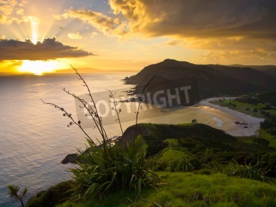 Papier peint  Lever de soleil sur la côte de la Nouvelle-Zélande