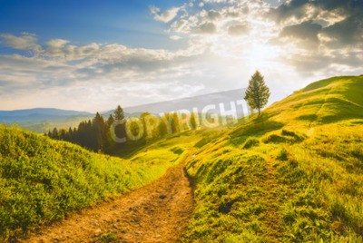 Papier peint  Lever de soleil sur une clairière