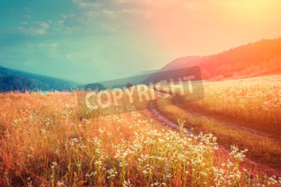 Papier peint  Lever de soleil sur une prairie