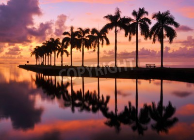 Papier peint  Lever de soleil sur une promenade