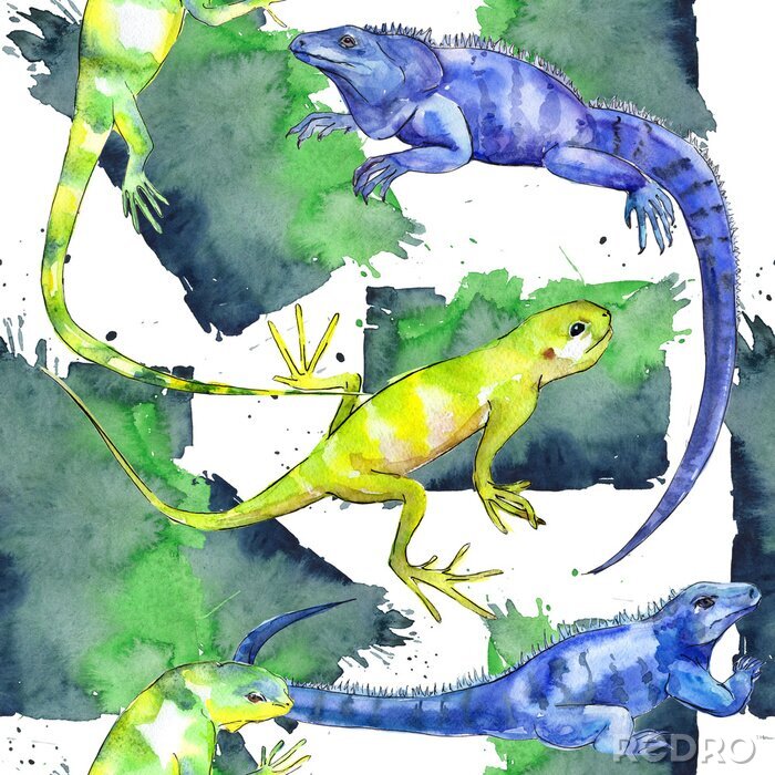 Papier peint  Lézards exotiques colorés