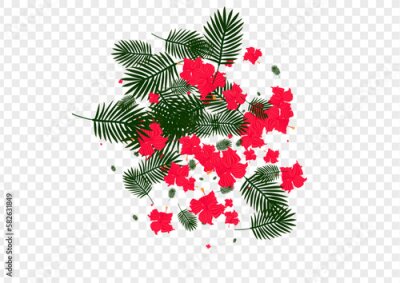 Papier peint  Light Green Flora Background Transparent Vector. Leaf Modern Design. Red Strelitzia. Beauty Illustration. Pink Hawaiian Frame.