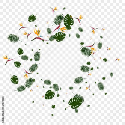 Papier peint  Light Green Flower Background Transparent Vector. Foliage Modern Design. Pink Strelitzia. Hawaiian Card. Orange Silhouette Texture.