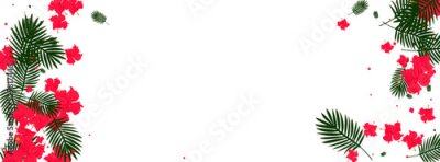 Papier peint  Light Green Flower Background White Vector. Strelitzia Safari Frame. Pink Palm. Culture Illustration. Orange Style Texture.