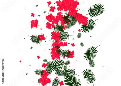 Papier peint  Light Green Leaf Background White Vector. Strelitzia Isolated Illustration. Orange Philodendron. Retro Design. Green Botany Frame.