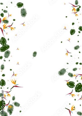 Papier peint  Light Green Monstera Background White Vector. Strelitzia Safari Design. Yellow Philodendron. Botany Illustration. Red Print Pattern.