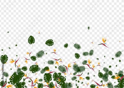 Papier peint  Light Green Strelitzia Background Transparent Vector. Philodendron Hawaiian Design. Red Foliage. Tropical Texture. Orange Spring Backdrop.