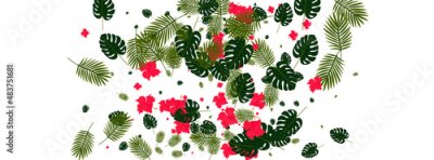 Papier peint  Light Green Strelitzia Background White Vector. Monstera Painting Backdrop. Red Plant. Island Frame. Green Color Design.