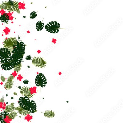 Papier peint  Light Green Tree Background White Vector. Leaf Bright Pattern. Yellow Strelitzia. Vintage Frame. Orange Paradise Texture.