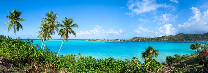 Papier peint  Ligne d'horizon tropicale