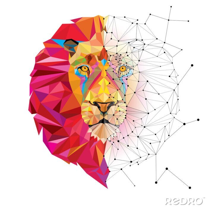 Papier peint  Lignes et couleurs géométriques de tête de lion de lions