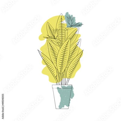 Papier peint  Line art black tropical potted house plant strelitzia with colorful abstract boho shape background. Stock vector illustration.