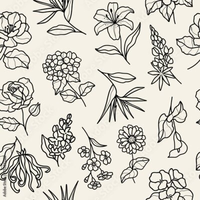 Papier peint  Line art flowers background. Camellia, hydrangea, rose, lilacs, zinnia, ylang-ylang, lily, forget-me-not, lupine, begonia, strelitzia, calla lily