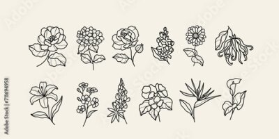 Papier peint  Line art flowers. Camellia, hydrangea, rose, lilacs, zinnia, ylang-ylang, lily, forget-me-not, lupine, begonia, strelitzia, calla lily