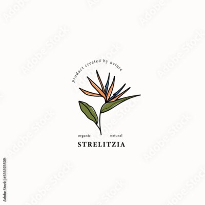 Papier peint  Line art strelitzia or Bird of Paradise flower drawing
