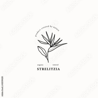Papier peint  Line art strelitzia or Bird of Paradise flower illustration