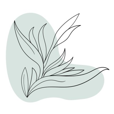 Papier peint  line black illustration graphics flowers strelitzia with colors stains.