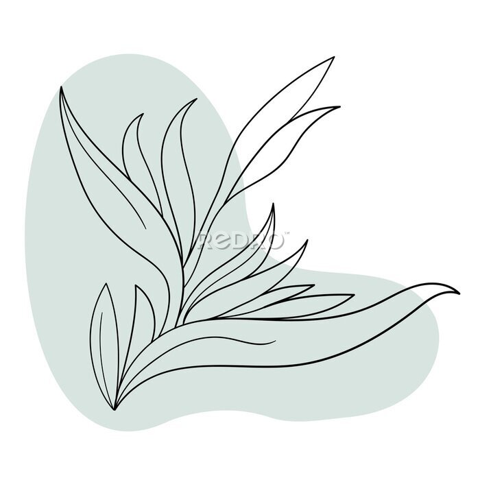 Papier peint  line black illustration graphics flowers strelitzia with colors stains.