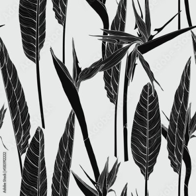 Papier peint  Line flowers, buds and leaves, strelitzia on a light background. Seamless floral illustration. Square repeating design template for fabric.