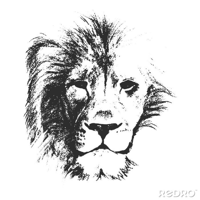 Papier peint  Lion noir et blanc illustration