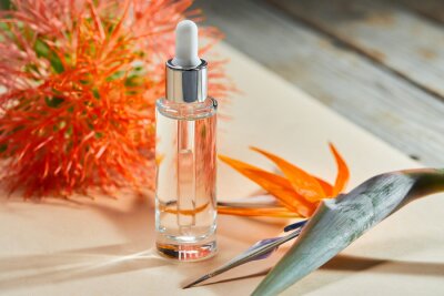 Papier peint  Liquid gel or serum in a glass transparent bottle with dropper and Bird of Paradise flower (Strelitzia reginae) on a beige background