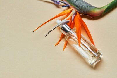 Papier peint  Liquid gel or serum in a glass transparent bottle with dropper and Bird of Paradise flower (Strelitzia reginae) on a beige background 