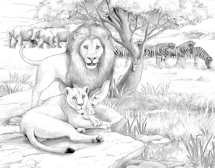 Papier peint  Livre de coloriage animaux noir et blanc