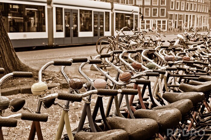 Papier peint  Location de vélos à Amsterdam