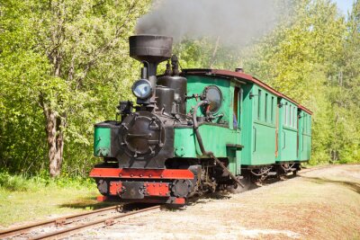 Papier peint  Locomotive verte train près d'une forêt