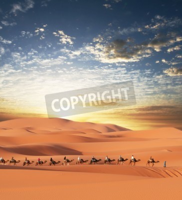 Papier peint  Longue caravane dans le désert