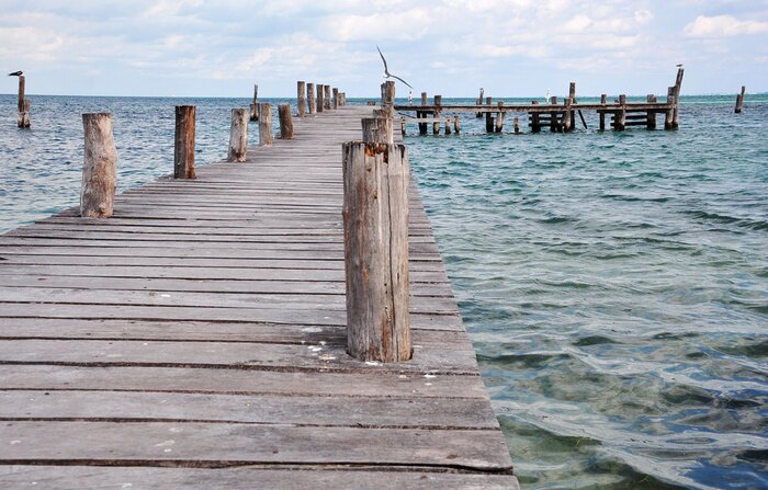Papier peint  Longue jetée en bois