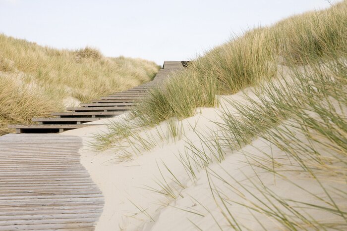 Papier peint  Longue passerelle en bois près des dunes