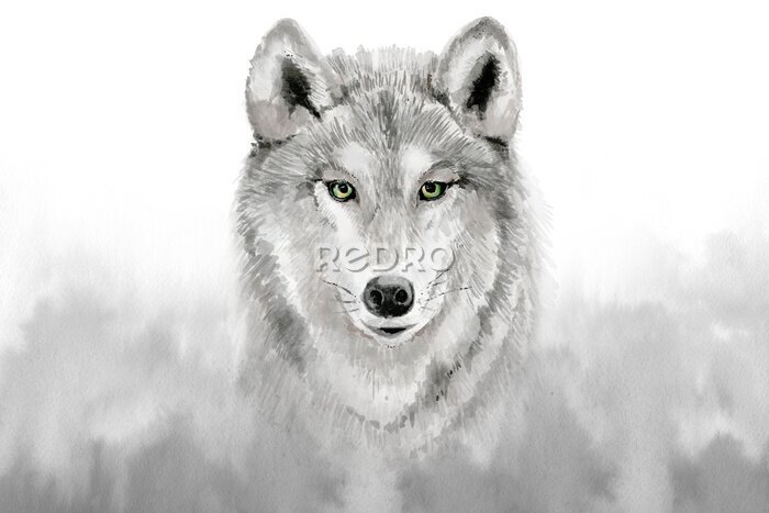 Papier peint  Loup en gris version aquarelle