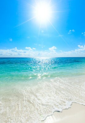 Poster  Lumière du soleil sur la mer limpide