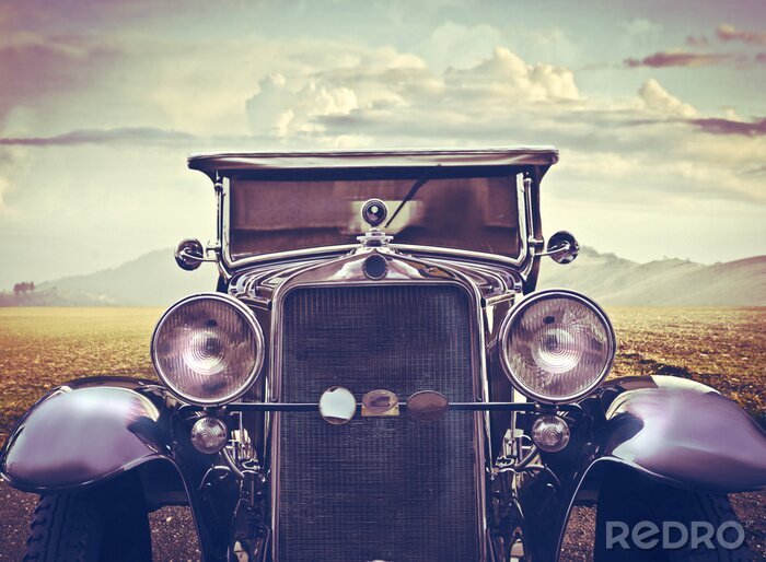 Papier peint  Luxe Vieux-fahioned