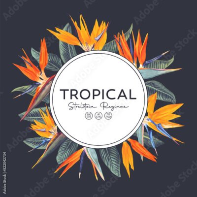 Papier peint  Luxurious wedding. Save the date Dark trading card with round tropical card. Realistic flowers and leaves of Strelitzia, Bird of Paradise, Crane flowers. Vector fashion cover, graphic poster.