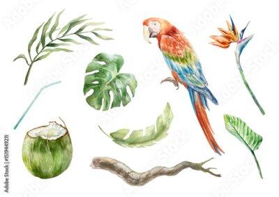 Papier peint  Macaw parrot, palm and monstera leaves, strelitzia flower, twig, coconut drink. Tropical set. Hand drawn watercolor illustration isolated on white. Cards, invitations, summer banners, labels, posters.