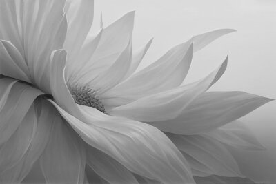 Papier peint  Macrophotographie grise d'une fleur blanche