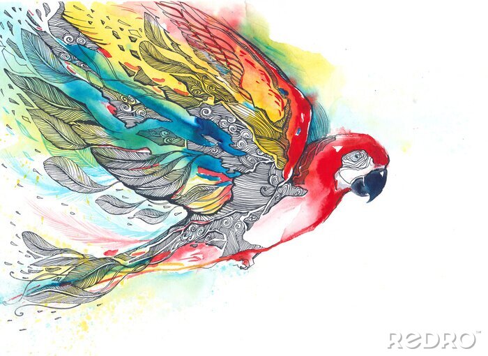 Papier peint  Magnifique oiseau peint à l'aquarelle