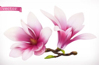 Magnolias graphiques en trois dimensions