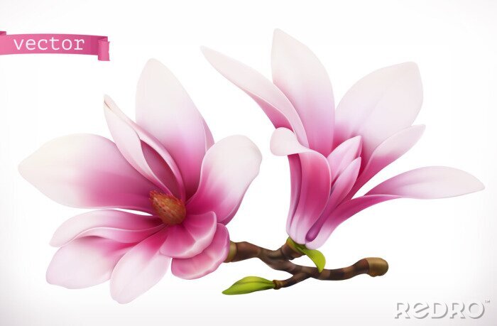 Papier peint  Magnolias graphiques en trois dimensions