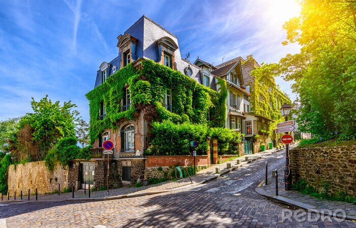 Papier peint  Maisons ensoleillées à Montmartre