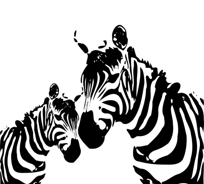 Papier peint  Maman zèbre avec son enfant