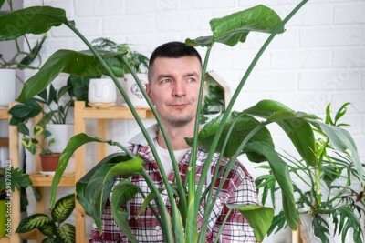 Papier peint  Man plant breeder hold in hand home plants Strelitzia in pot from her collection at home on the shelves. Search for pests, care, watering, fertilizers. Home crop production