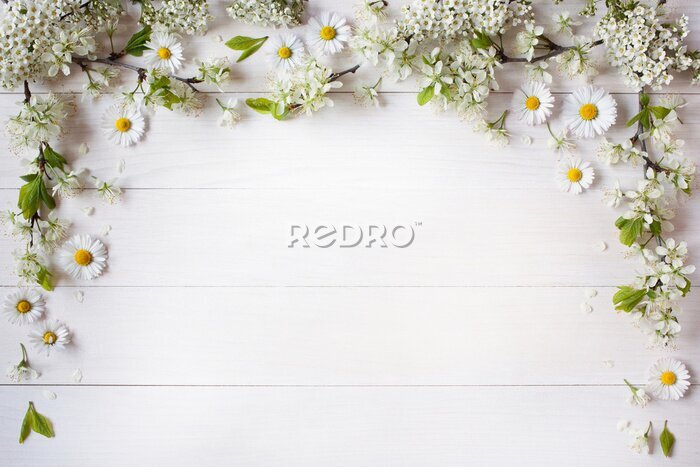 Papier peint  Marguerites formant un cadre sur des tableaux blancs