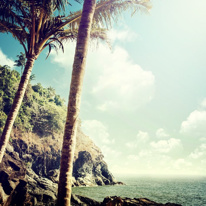 Papier peint  Marine nature exotique vintage