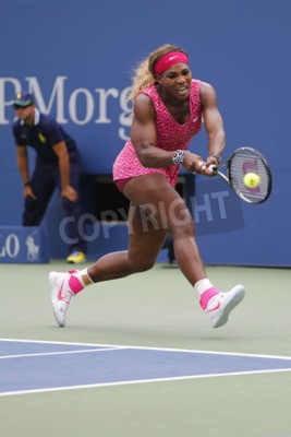 Papier peint  Match de Serena Williams
